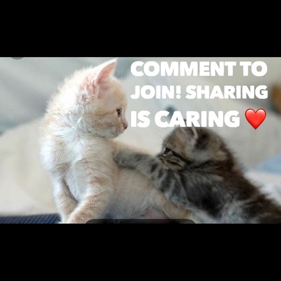 Join my 1st TAG TEAM!! 🥰🎉🥳💃🏼💃🏼💃🏼 - Picture 2 of 3